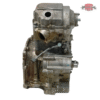 Good used Engine-Motor for Polaris 550 ATV #3090230