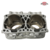 Replated Mono Block Cylinder For Polaris RMK 800 Snowmobile #3022449