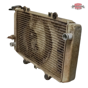 Radiator For Yamaha Grizzly 660 (2002-2008) #5KM-12461-00-00