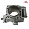 Cylinder & Piston Kit For Polaris 500 ATVs-UTVs (Angle Fitting) (0.02″ Over Bored) #3085526