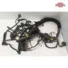 Main Wiring Harness For Can Am Outlander-Renegade (2024-2025) #710009780